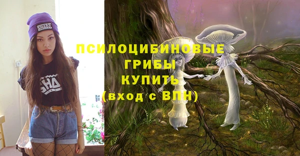 MDMA Алексеевка
