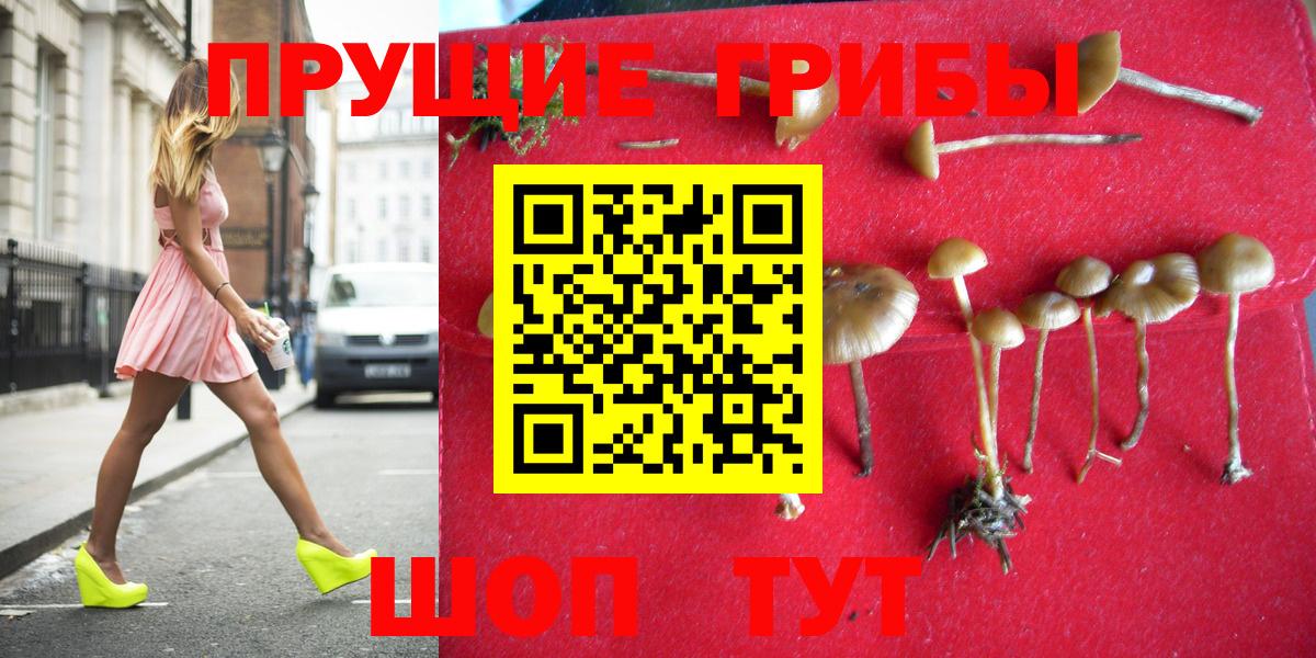 Галлюциногенные грибы MAGIC MUSHROOMS Новошахтинск