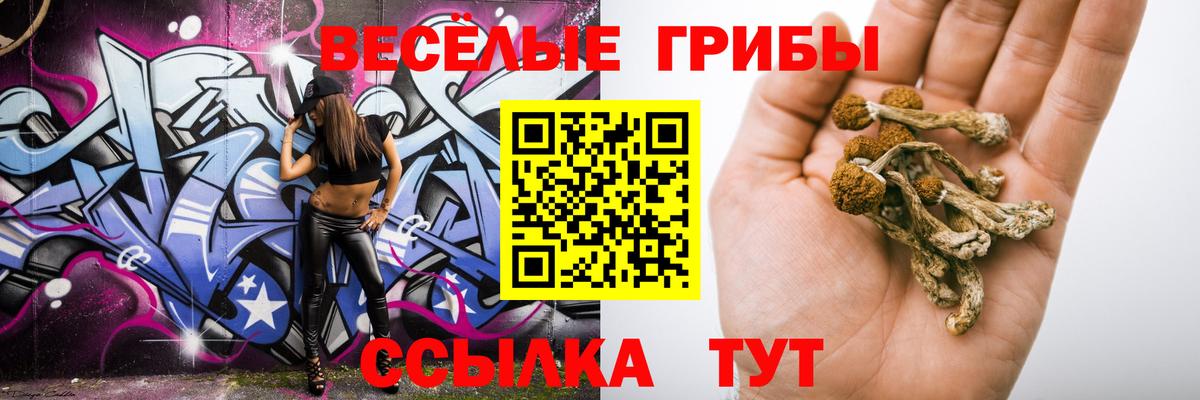 Новошахтинск  Галлюциногенные грибы GOLDEN TEACHER  Галлюциногенные грибы прущие грибы  Вход с VPN 
